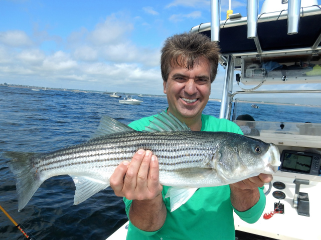 Merrimack River Striper caught by Craig Squires